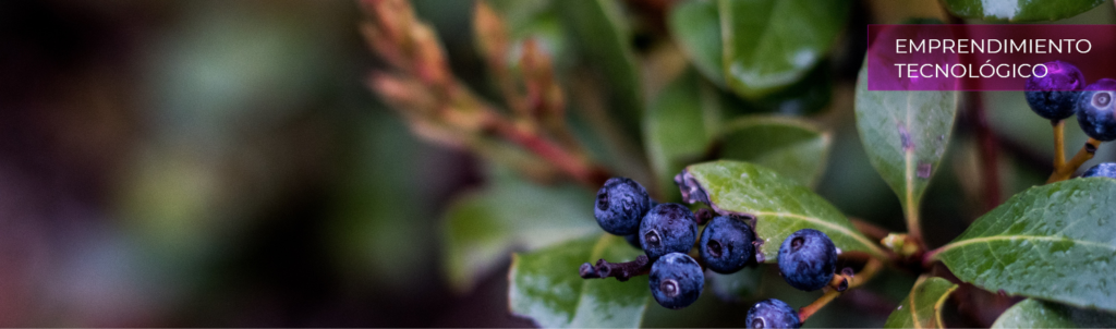 AGRICOCH web banner esp