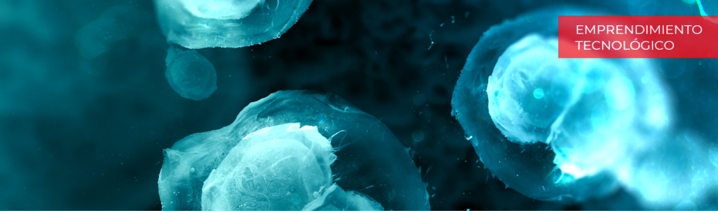 BMiTek web banner esp