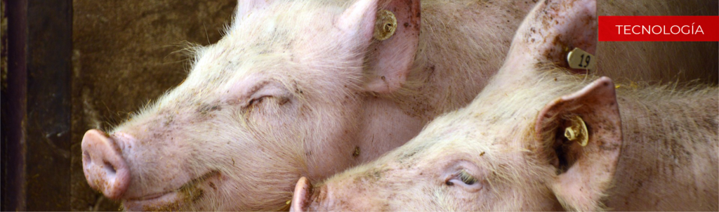 Oral Vaccine web banner esp